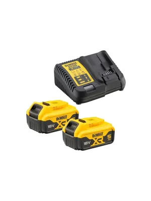 Аккумуляторный набор DEWALT DCK266P2T